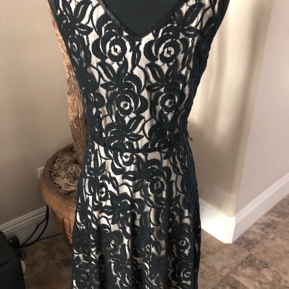 Tahari Black/Cream Lace Dress - Picture 5 of 8